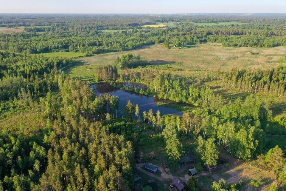 Private Farm Jakuzzi Sauna In The Forest Talsi Exterior photo