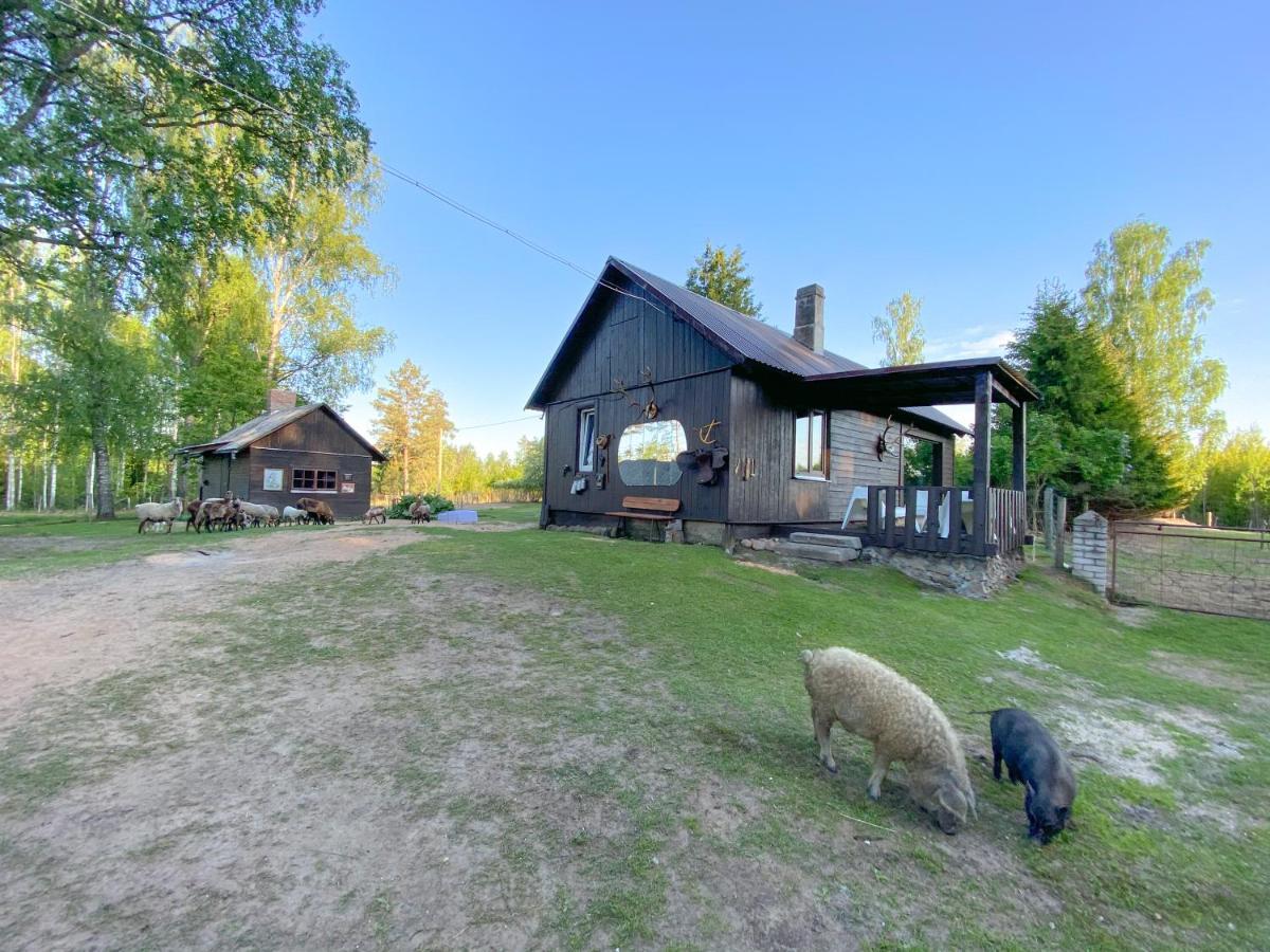 Private Farm Jakuzzi Sauna In The Forest Talsi Exterior photo