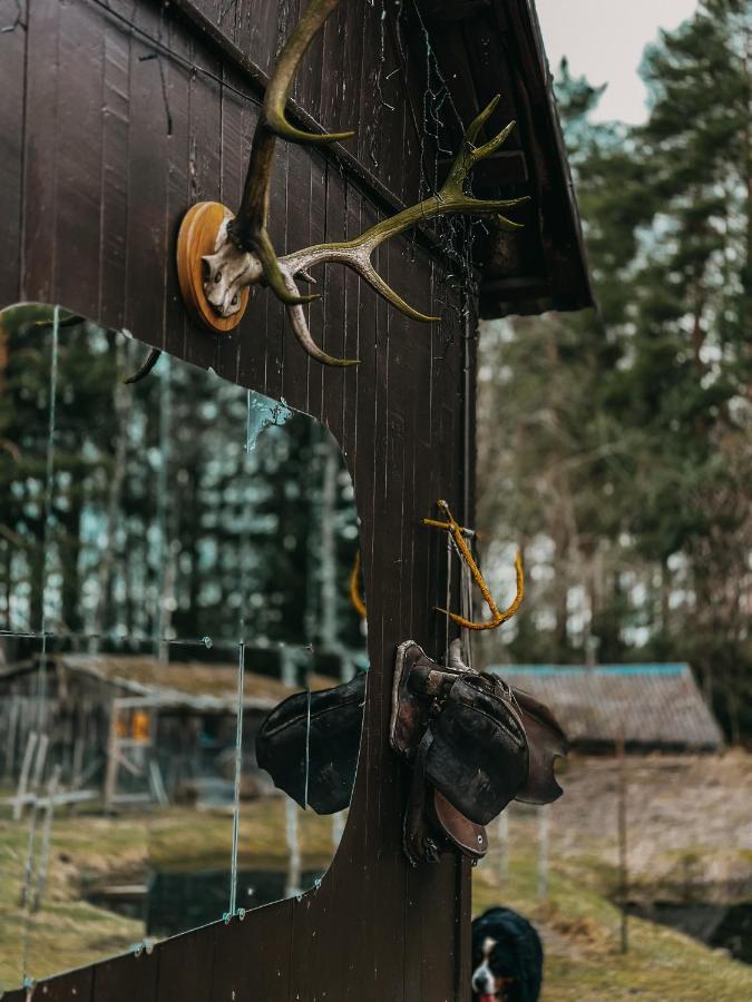 Private Farm Jakuzzi Sauna In The Forest Talsi Exterior photo